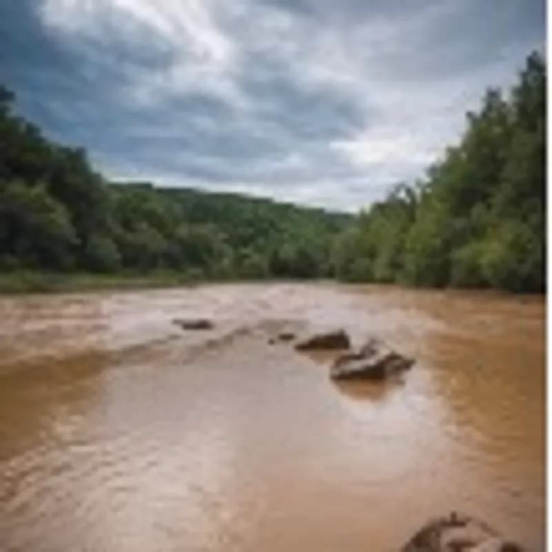 Floating on the Big Muddy Cyser